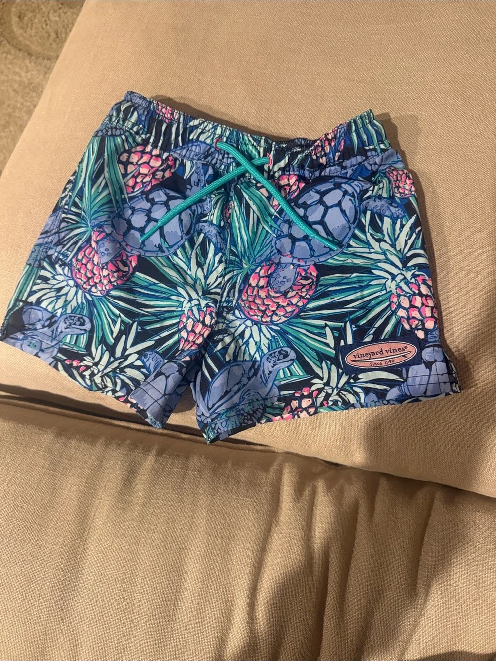 Vineyard Vines Kids Blue Pineapple Print Swim Shorts